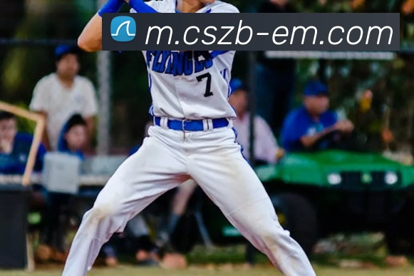 彩神争霸服务体系